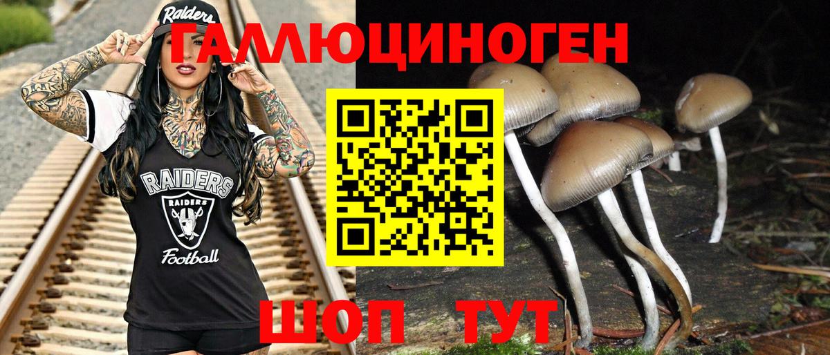 Галлюциногенные грибы ЛСД  Псилоцибиновые грибы Psilocybine cubensis  Коммунар  Вход с VPN 